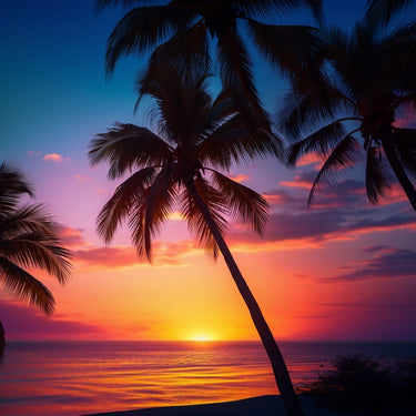 Palm Tree Sunset canvas